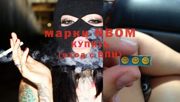 гашик Пересвет