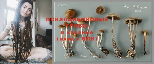 спайс Осташков