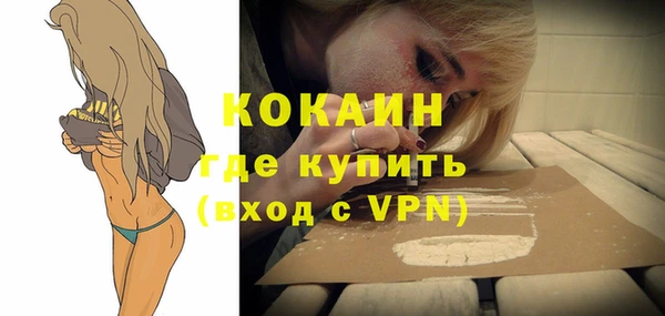 дживик Осинники