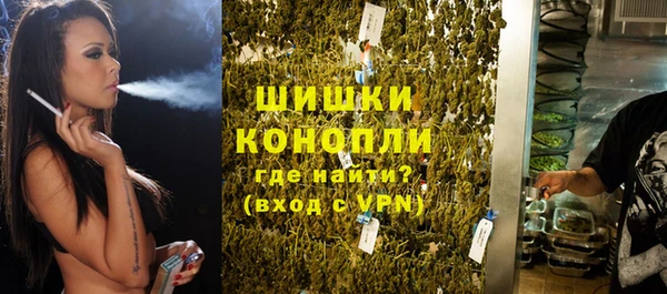 крисы Пестово