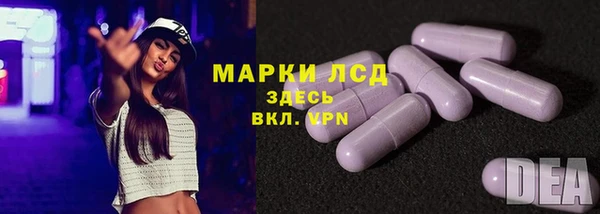 дживик Осинники