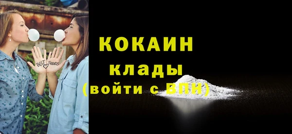 гашик Пересвет