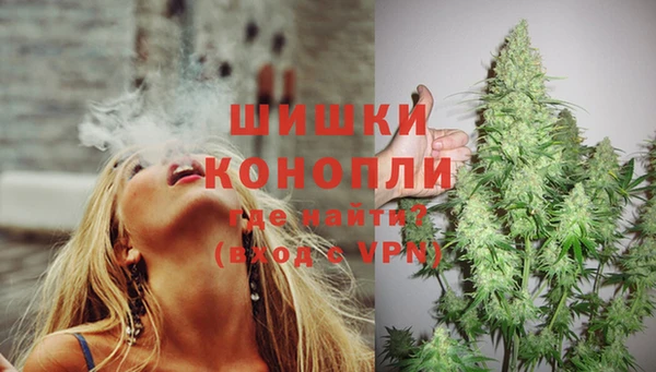 крисы Пестово