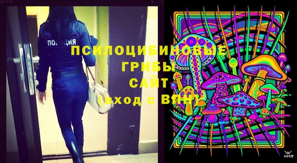 дживик Осинники
