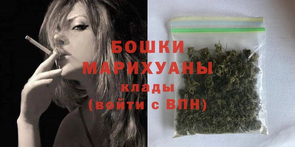 дживик Осинники