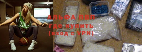 гашик Пересвет
