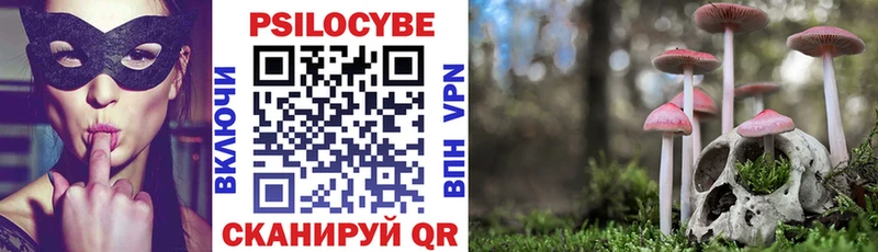купить закладку  МЕГА tor  Псилоцибиновые грибы прущие грибы  Андреаполь 